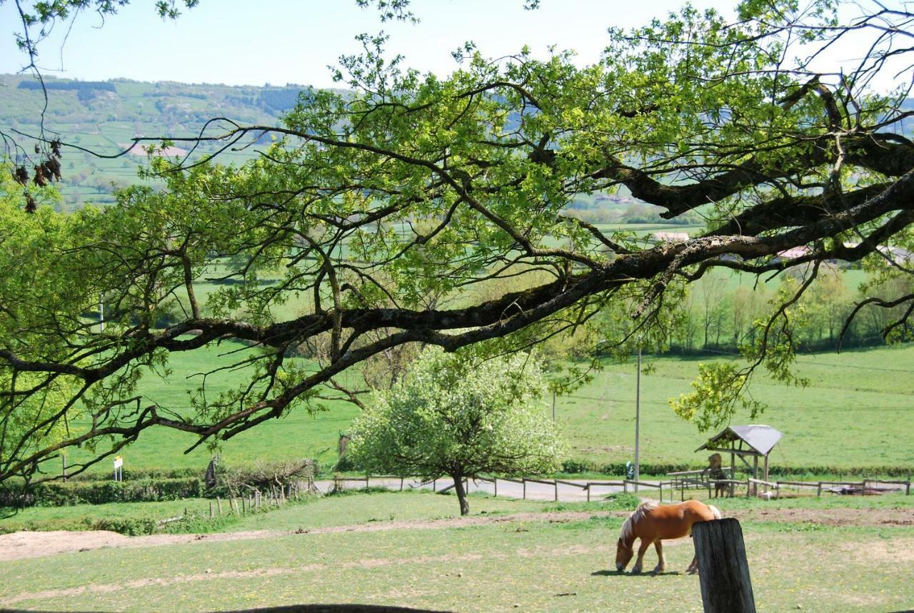 Village.insolite Montagny-sur-Grosne Extérieur photo